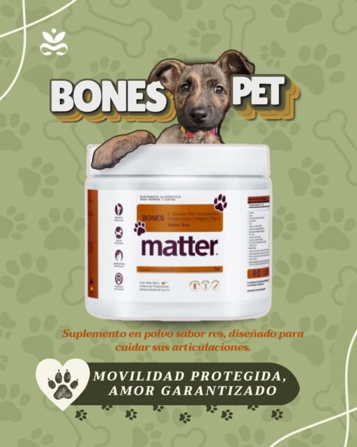 🐾 En #DiaDeAmarATuMascota, el mejor regalo es cuidarla.
Con Bones Pet de #matter, suplemento articular sabor res, proteges su movilidad y le das la fuerza para seguir corriendo, jugando y moviéndose con la misma alegría de siempre.
💪 Colágeno tipo II, Glucosamina, Condroitina y Ácido hialurónico: fortalecen y reparan sus articulaciones.🌿 Cúrcuma 95% y MSM: ayudan a mantener la flexibilidad y reducir molestias.✨ Zinc y Manganeso: esenciales para mantener articulaciones fuertes y sanas.
👉 Ideal para mascotas activas, con sobrepeso o senior que necesitan apoyo extra en sus articulaciones, o como complemento preventivo para mantener una movilidad óptima por más tiempo.
💚 Porque amar es también cuidar, encuéntralo en #Essenzia y celebra su bienestar cada día.