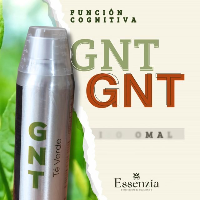 🍵⚡️ No es solo té verde, es bio-disponibilidad celular.¿Sabías que el cuerpo solo absorbe una mínima parte de los antioxidantes del té convencional? Con #GNT Liposomal, rompemos esa barrera.En #Essenzia, elegimos la fórmula de nuestra marca aliada #KEMVida porque encapsula el poder del té verde en liposomas, asegurando que su energía y protección celular lleguen intactas a tu sistema.
🟢 Metabolismo optimizado🟢 Enfoque mental sin nerviosismo🟢 Máximo escudo antioxidante
👉 La suplementación premium no se trata de cuánto tomas, sino de cuánto aprovechas.
🔗 Descubre más en nuestro Blog (link en bio)
🛒 Compra ahora en Essenzia y aprovecha las promociones exclusivas.
#TeVerdeLiposomal #Biohacking #BienSer