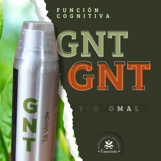 El té verde es un shot de precisión diseñado para el cerebro:
✅ Foco Sostenido: Sin los picos ni las caídas de energía del café. 
✅ Protección Neuronal: Sus potentes antioxidantes combaten el estrés oxidativo causado por el cortisol (estrés).
 ✅ Bio-Disponibilidad Total: Energía celular pura que tu cerebro reconoce y utiliza al instante.
Más que una infusión, una actualización celular. GNT, Té Verde Liposomal: la potencia de la naturaleza con la precisión de la ciencia.

Pidelo ya en línea o en tienda boutique Essenzia.

#Equilibrio #BienSer #BienEstar