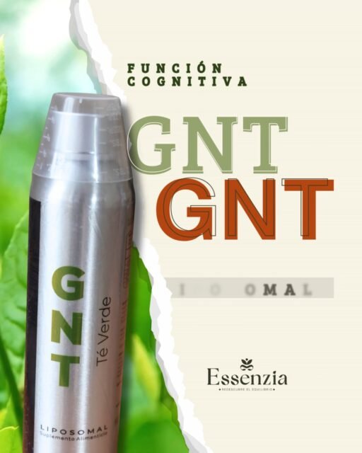 Lleva los beneficios del té verde al máximo 🚀🌿
Todos conocemos el poder antioxidante del té verde, pero GNT al ser un té verde liposomal sus componentes activos viajan protegidos directo a tus células.
✨ ¿Las ventajas?
- Absorción máxima: Aprovechas el 100% de sus bondades.
Efecto prolongado: Energía limpia y enfoque por más tiempo.
Mayor potencia: Más protección contra el envejecimiento celular.
No tomes cualquier té, dale a tu cuerpo la mejor versión. 🌟
👉 Consigue tu GNT haciendo clic en el enlace de nuestra bio o encuéntralo en nuestra Boutique Essenzia.#NutricionInteligente #Equilibrio #BienSer
