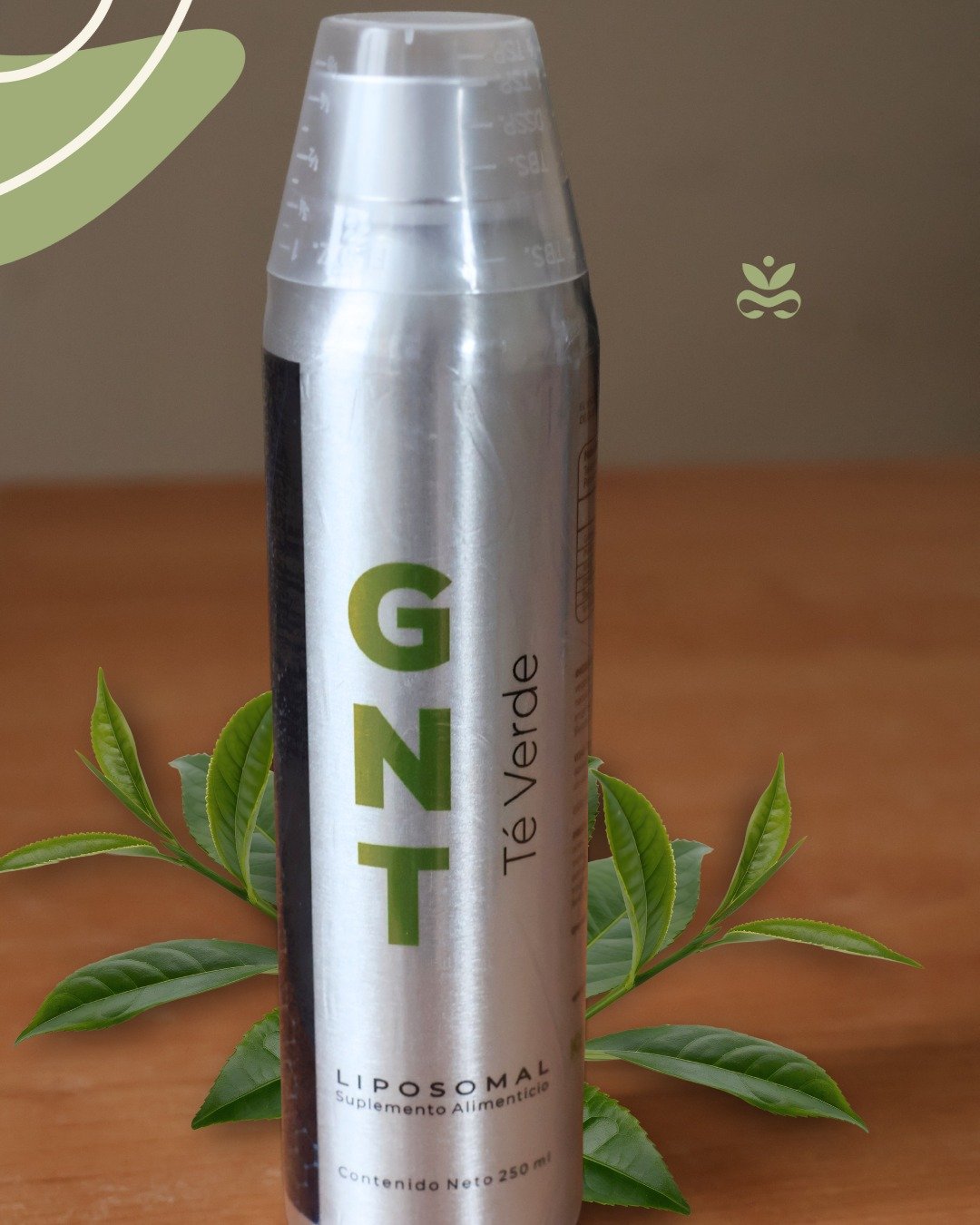 Lo que no sabías del té verde para tu cerebro… 🧠✨
Aunque generalmente lo buscan para activar el metabolismo, este poderoso antioxidante es un escudo directo para tu mente. Las catequinas y polifenoles del té verde puro protegen las células neuronales, conservan la memoria, mejoran la concentración y potencian la longevidad cerebral.
Con GNT Liposomal obtienes esta protección en su máxima pureza. Al ser extracto descafeinado de Camellia sinensis con procesamiento mínimo, tu cuerpo aprovecha al máximo sus flavonoides. ¡Dale a tu cerebro el impulso que necesita!🛒 Encuentra GNT Liposomal en Essenzia: Disponible ya en nuestra tienda boutique y en línea.
*No es un medicamento. Consulta a tu médico.
#DiaMundialDelCerebro2026 #SaludCerebral #Equlibrio