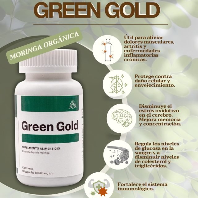 Lo que no sabías de la moringa para tu cerebro… 🧠✨
Aunque al "árbol milagroso" se le busca por sus defensas, su mayor secreto está en la mente.
GREEN GOLD aprovecha el poder puro de la moringa para reducir el estrés oxidativo cerebral, siendo clave para mejorar la memoria y potenciar la concentración. Aquí te contamos sobre sus demás beneficios. ¡El impulso natural que tu mente y cuerpo necesitan!🛒 Encuentra GREEN GOLD en Essenzia: Disponible en nuestra tienda boutique y en línea.*No es un medicamento. Consulta a tu médico.
#DiaMundialDelCerebro2026 #SaludCerebral #Equlibrio