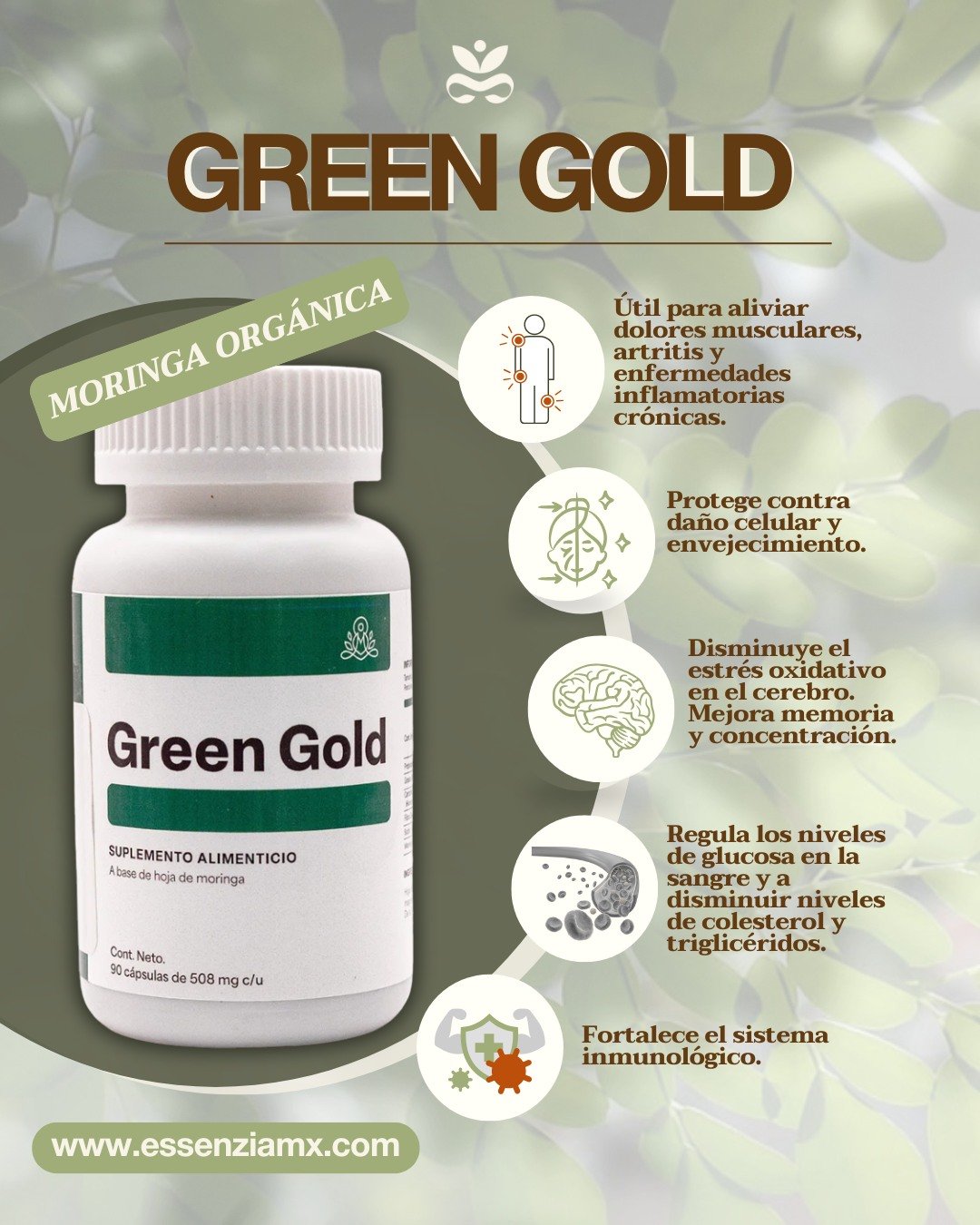 Lo que no sabías de la moringa para tu cerebro… 🧠✨
Aunque al "árbol milagroso" se le busca por sus defensas, su mayor secreto está en la mente.
GREEN GOLD aprovecha el poder puro de la moringa para reducir el estrés oxidativo cerebral, siendo clave para mejorar la memoria y potenciar la concentración. Aquí te contamos sobre sus demás beneficios. ¡El impulso natural que tu mente y cuerpo necesitan!🛒 Encuentra GREEN GOLD en Essenzia: Disponible en nuestra tienda boutique y en línea.*No es un medicamento. Consulta a tu médico.
#DiaMundialDelCerebro2026 #SaludCerebral #Equlibrio