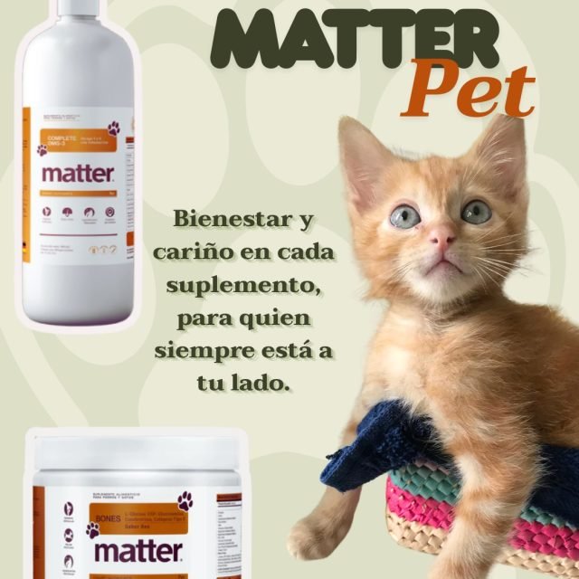 Amar a tu gato es cuidar cada uno de sus saltos. 🐾
✨En su día especial, regálale bienestar real con el duo perfecto para su movilidad y vitalidad:
🦴 Bones Pet: Movilidad y flexibilidad sin molestias. Articulaciones fuertes (Glucosamina, Condroitina y Colágeno Tipo II). Ideal para mantener un estilo de vida felino activo.
🛡️ Complete OMG-3 PetPiel suave y pelaje radiante. Apoyo cerebral y salud visual. Con Astaxantina, un antioxidante de alto nivel.
🛒 Haz tu pedido en Essenzia en línea o acude a la tienda boutique.
link un bio.
##diadelgato🐱 #amorincondicional💕 #bienser