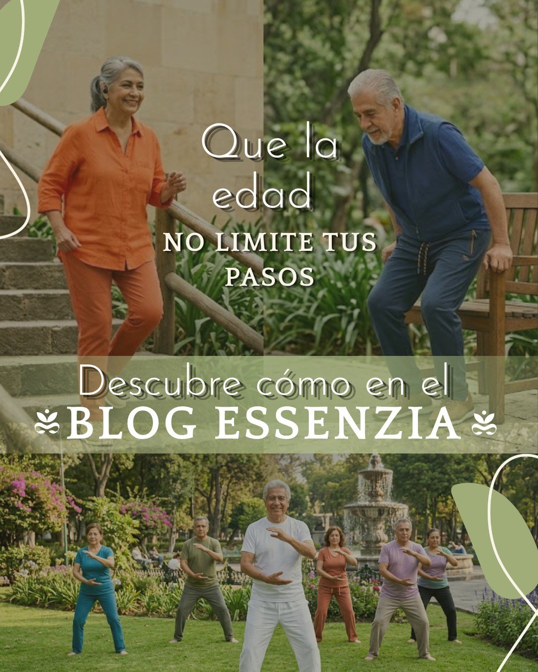 Cumplir años no tiene por qué significar perder movilidad. 🚶♂️✨Subir escaleras, levantarse de una silla sin esfuerzo o dar un paseo tranquilo no deberían ser un desafío. Aunque los años pasan, la pérdida de fuerza y estabilidad no es una consecuencia inevitable del envejecimiento.En este Mes de las Personas Adultas Mayores, te compartimos las claves con respaldo científico para cuidar las articulaciones, conservar la masa muscular y mantener la independencia.Porque el bienestar no tiene edad y tus pasos merecen acompañarte siempre. 🤍
👉 Lee el texto completo en nuestro blog ESSENZIA y descubre cómo actuar a tiempo. LINK IN BIO.👍#DíaDeLasPersonasAdultasMayores #SuplementaciónInteligente #Equilibrio #BienSer