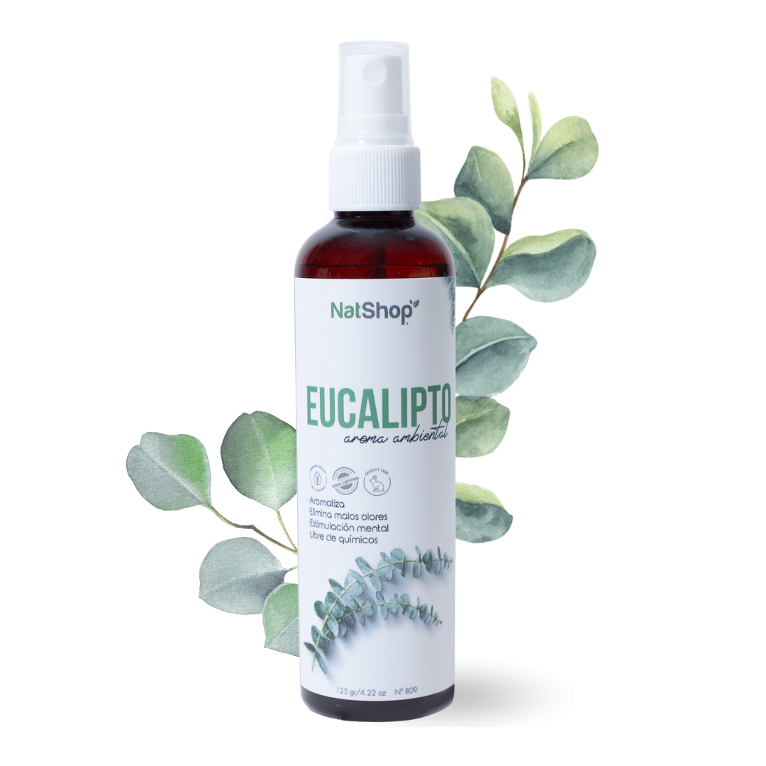 Aromatizante de eucalipto orgánico - Image 2