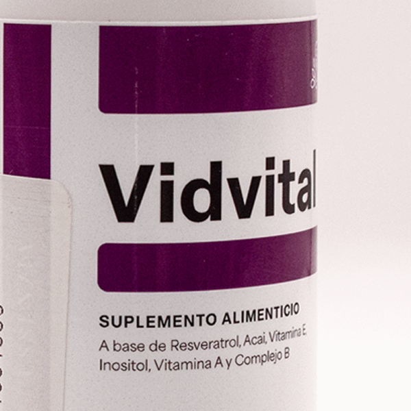 Vidvital - Image 3